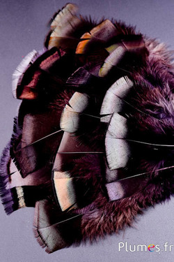 Bronzetruthan - 5-15 cm - antrazit